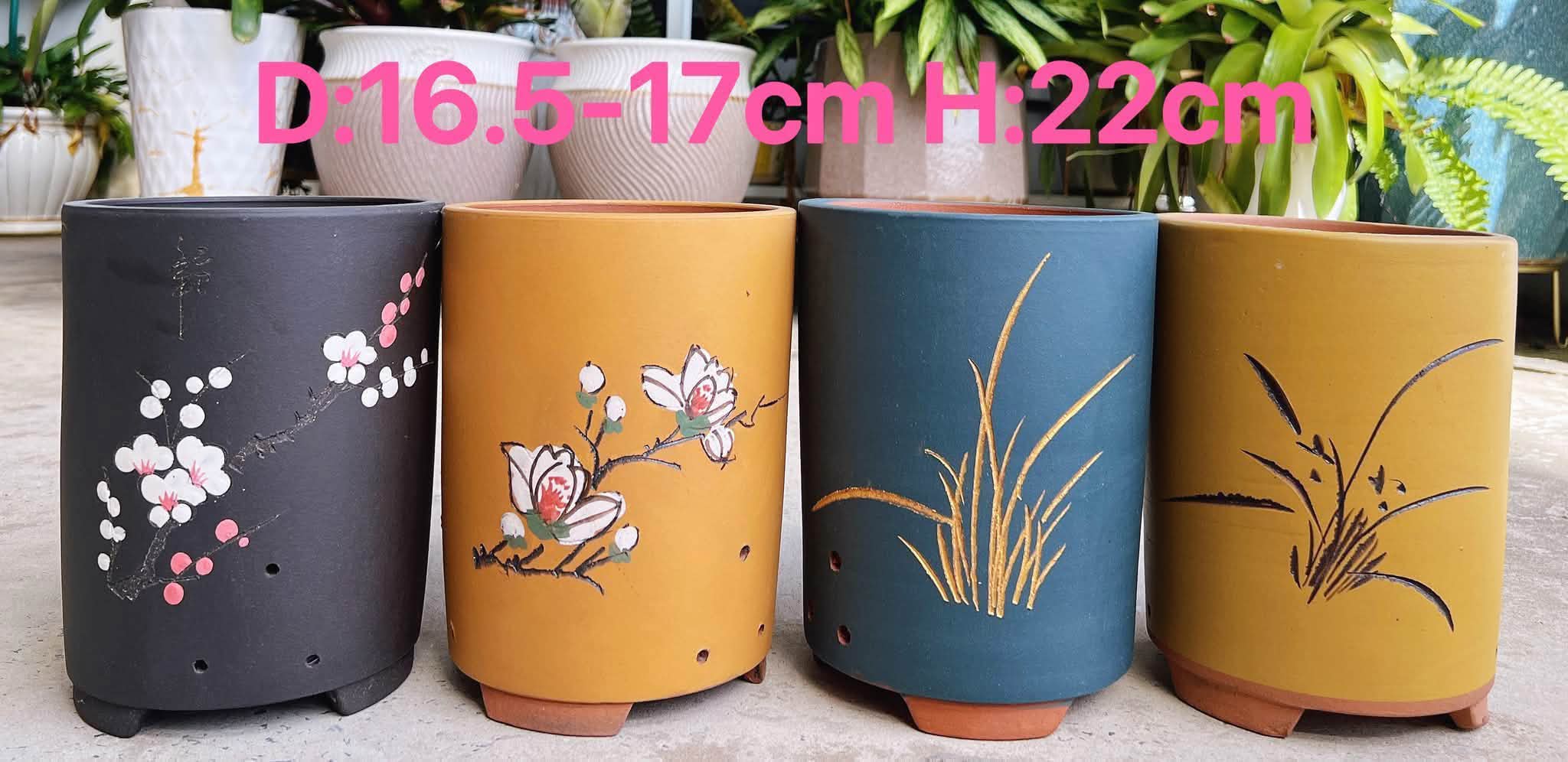 四款紫砂老桩透气盆，size看图说话，rm45for1，种你的盆栽🪴，绿植