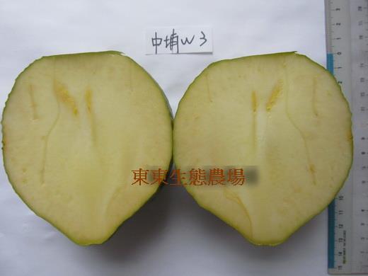 東東生態農場-白柿、黃金果、黑柿等果樹世界-World of White sapote Abiu Black sapote and ...