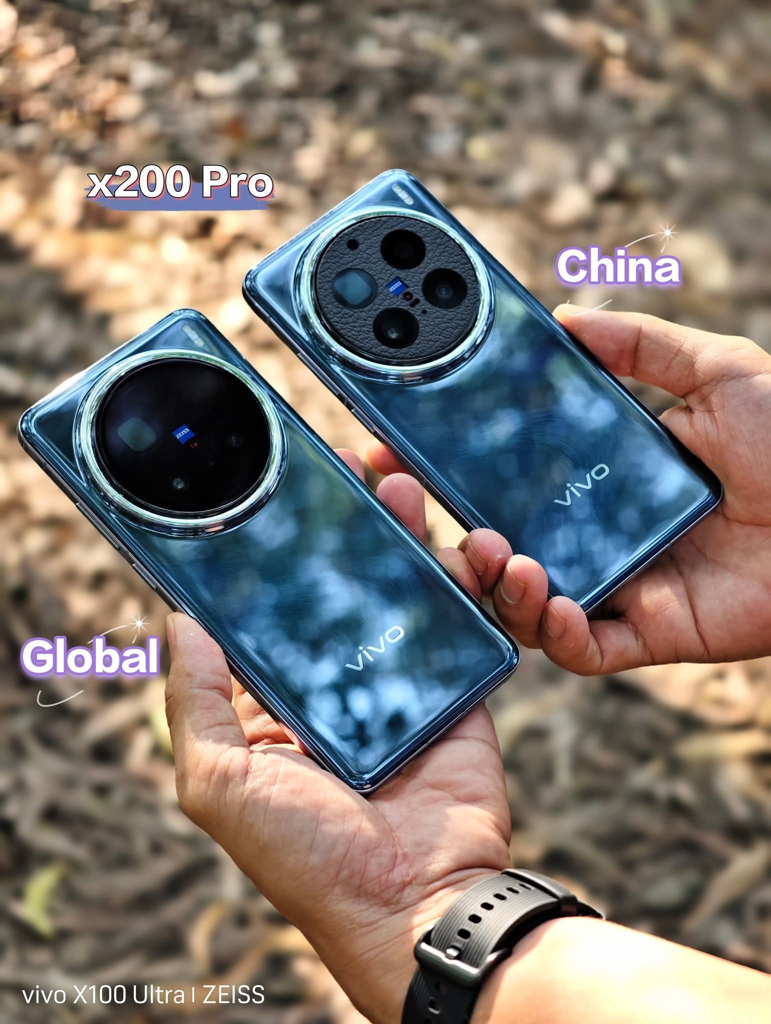 Vivo X200 Pro China vs Global comparison