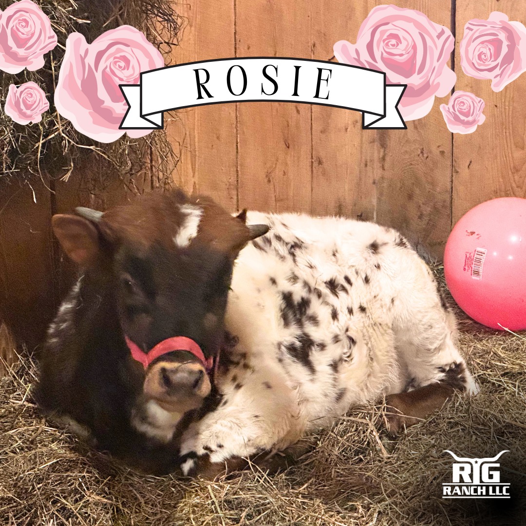 Rentals To Go - Big shoutout to RTG Ranch and our cutest...
