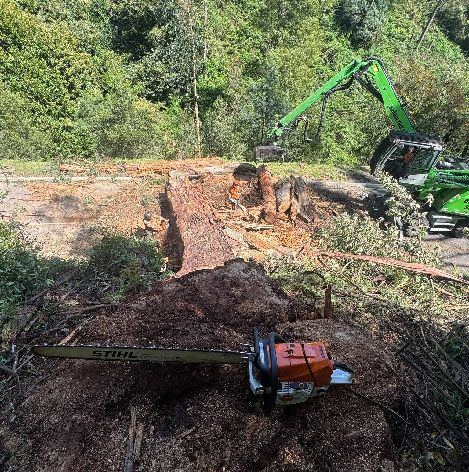 Drouin Tree Services on Reels