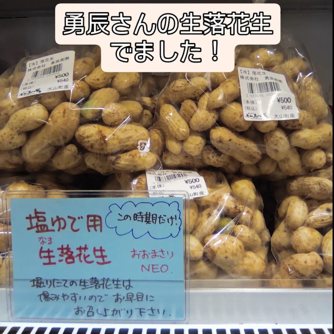長〜いさやが特徴の三尺ささげ、登場しています🫛 見た目は長い