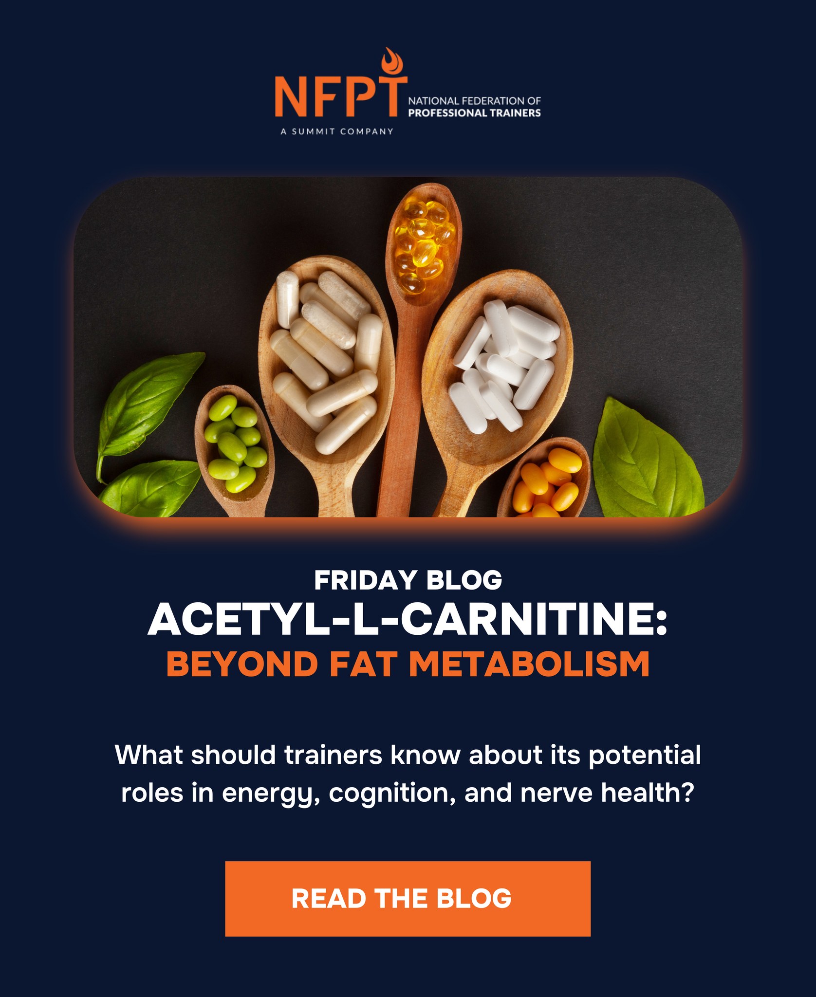 benefits of acetyl l carnitine vs l carnitine l tartrate Acetyl-L-Carnitine for energy, cognitive function, and nerve health Dcaf11-Driven p21 Ubiquitination Assay Hypodermic Needle quantity:50mg