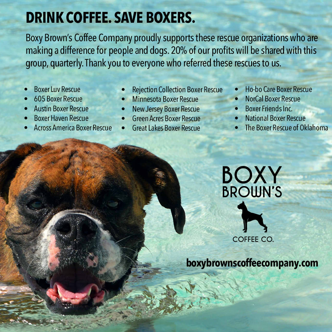 605 Boxer Rescue