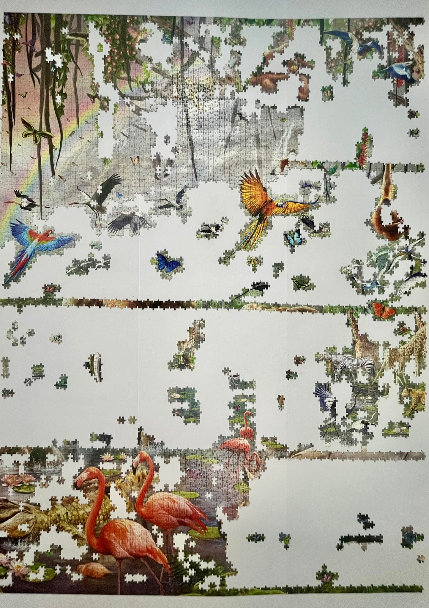Solving Educa's 33600-piece wildlife puzzle