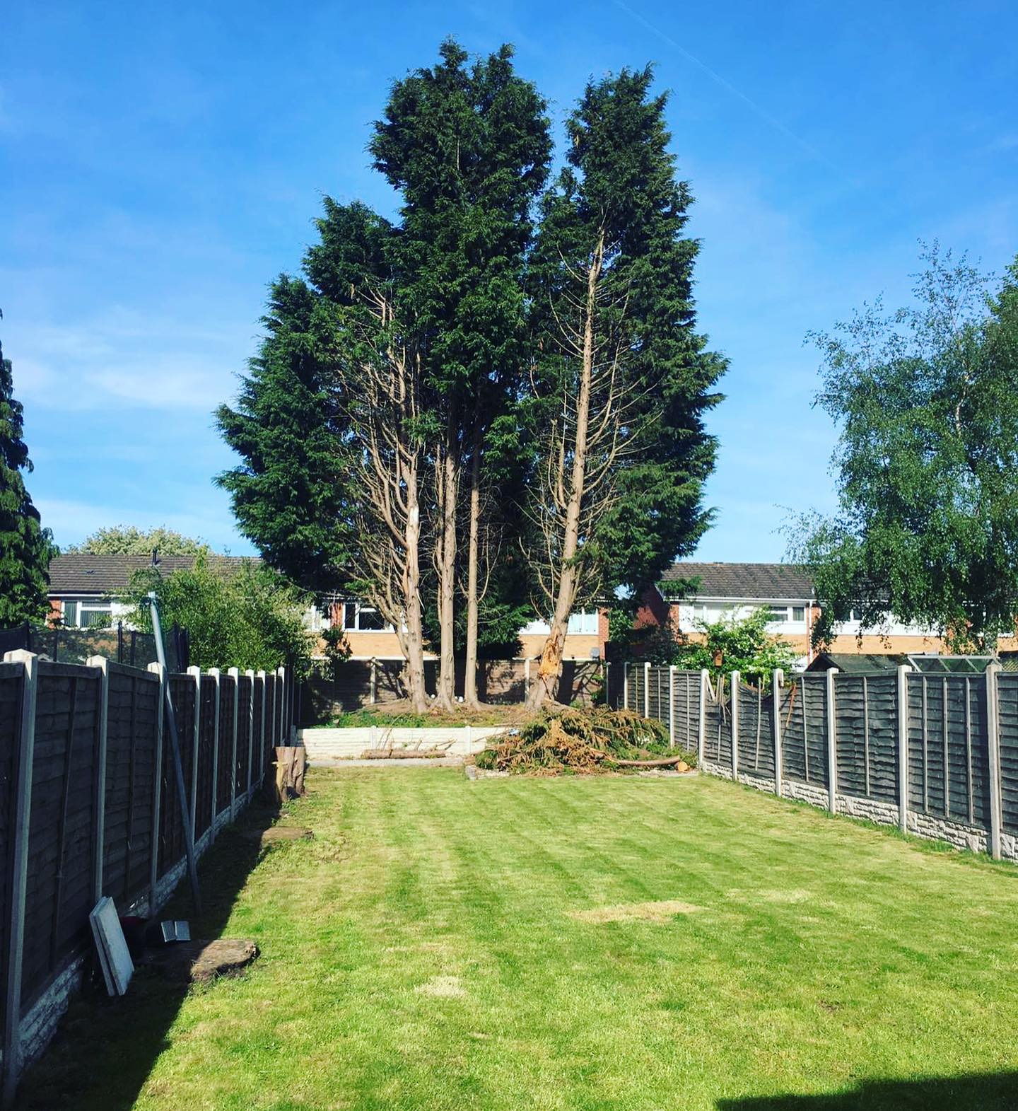 Solihull Tree Care Specialists | Solihull