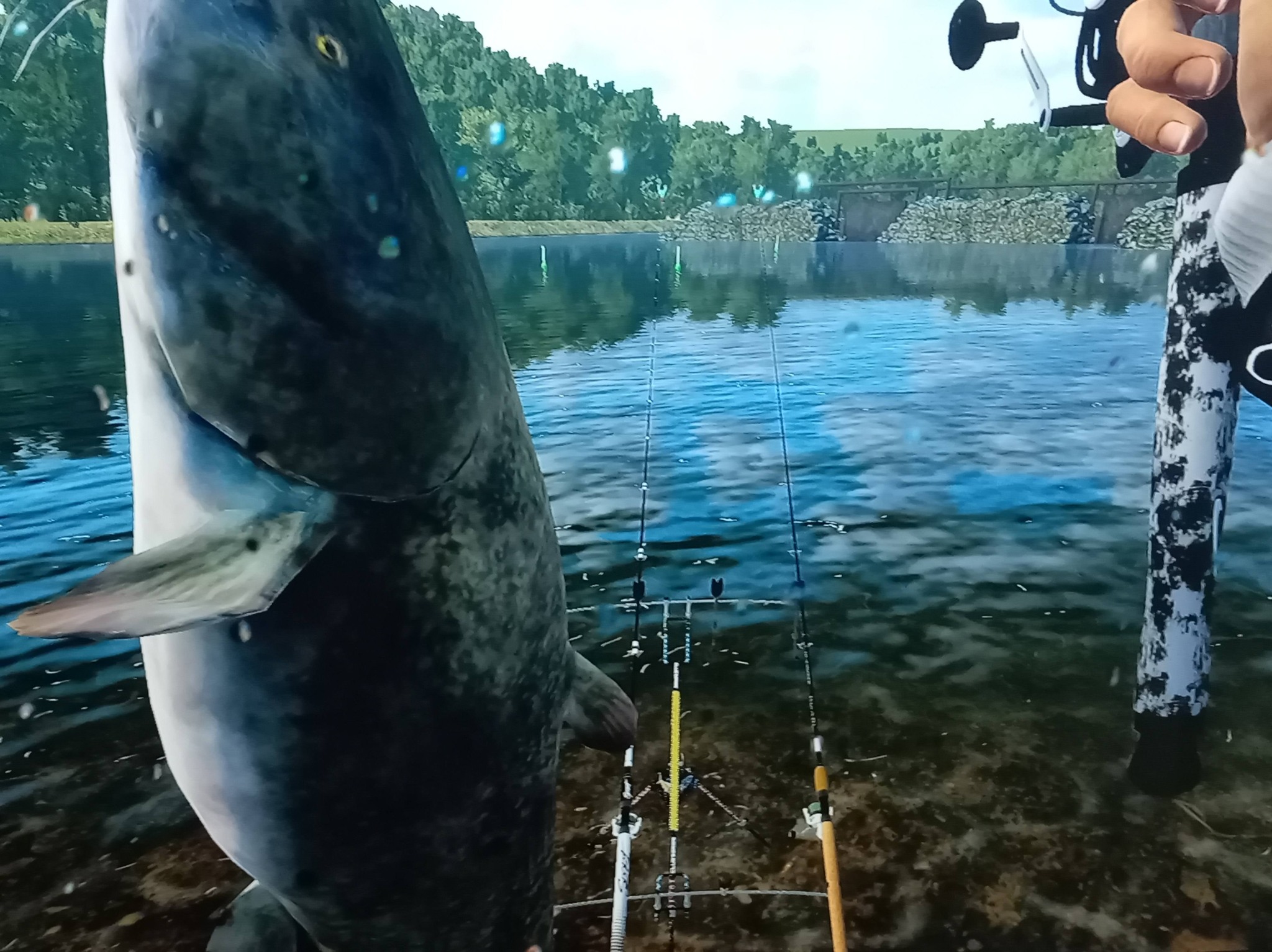 compact kids fishing pole DaddyGoFish - Rod Reel Combo Tackle Box Starter Set CanDiscount Color:Bleeding Hot Olive Live Bait Shell Wreath Fish Wreath
