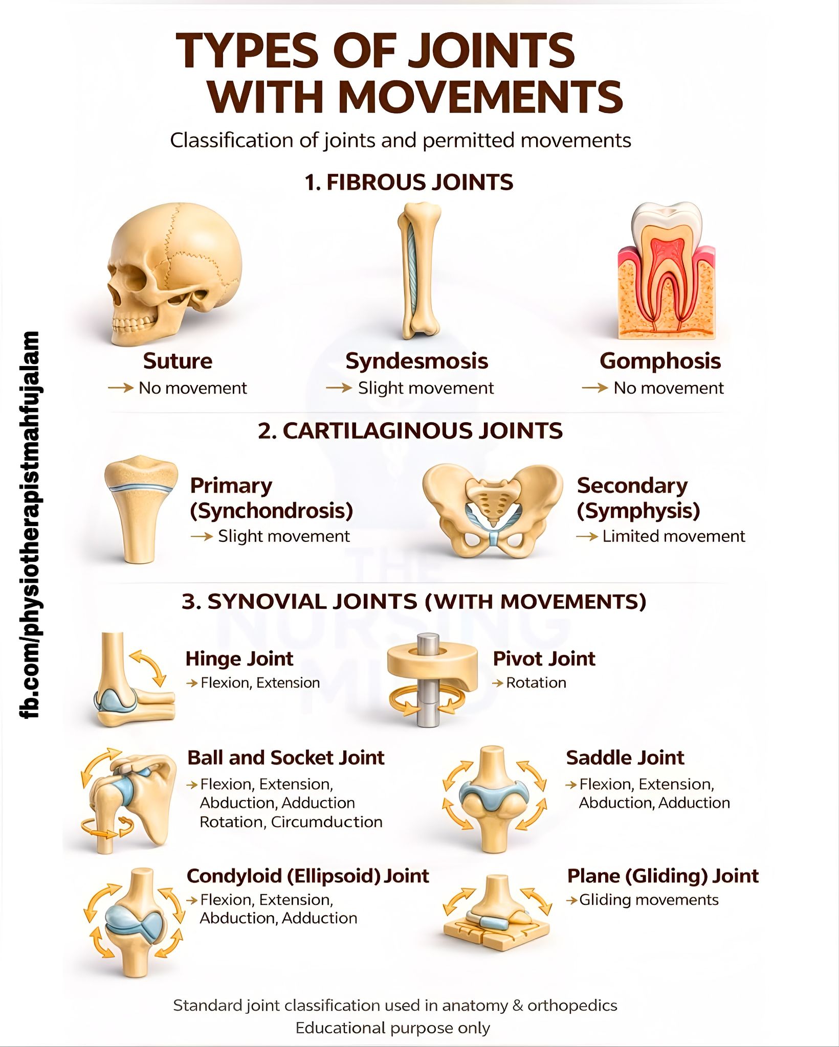 Types of Joints Made Easy... - Physiotherapist Mahfuj Alam | Facebook