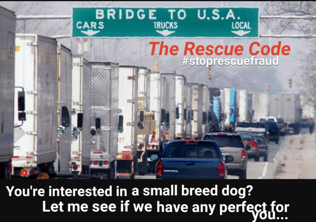 The Rescue Code