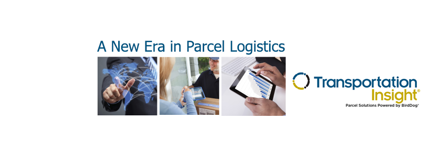 Transportation Insight Parcel Solutions Powered by BirdDog | Austin TX