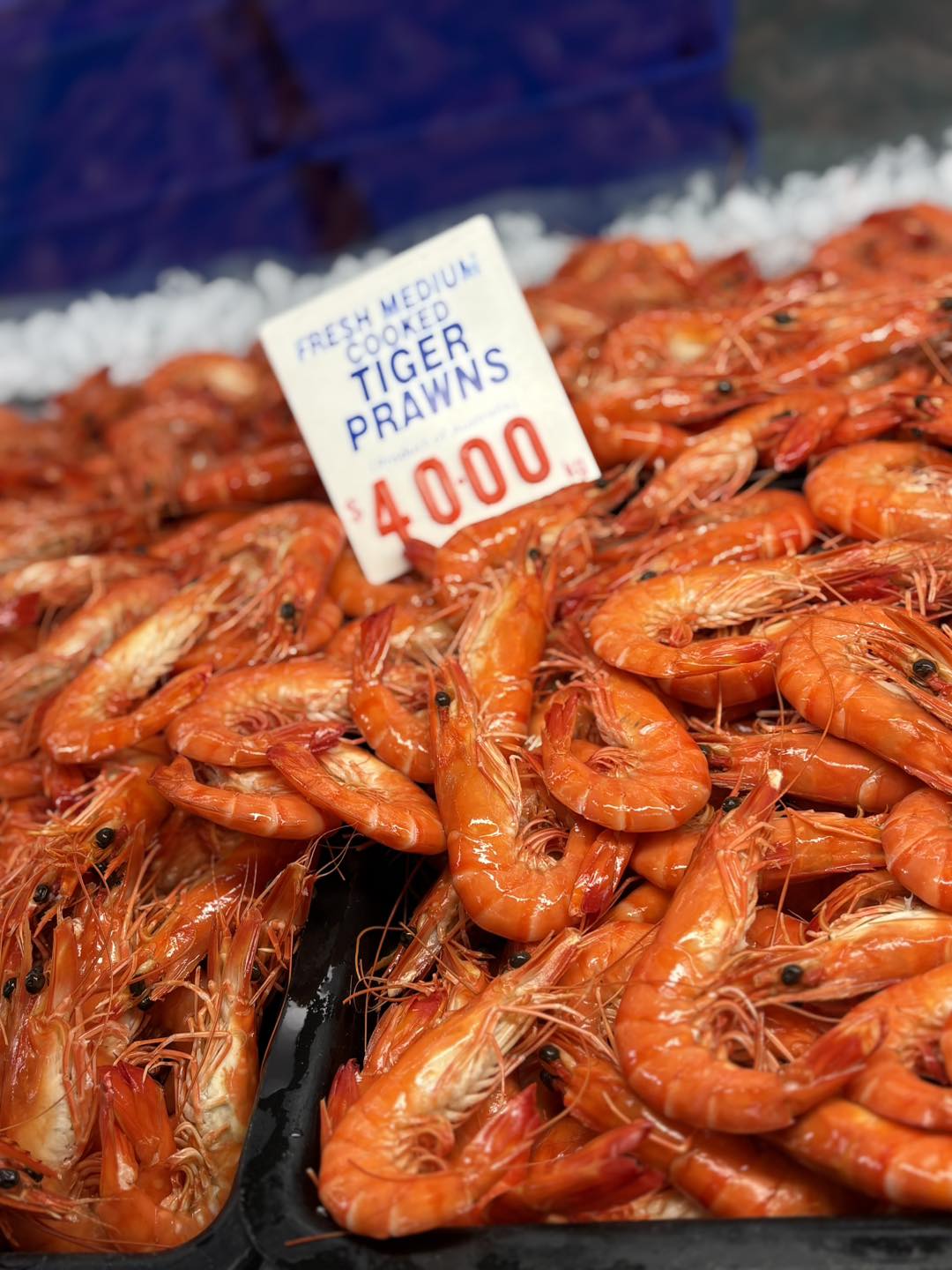Steve's Mega Seafood -... - Steve's Mega Seafood - Dora Creek