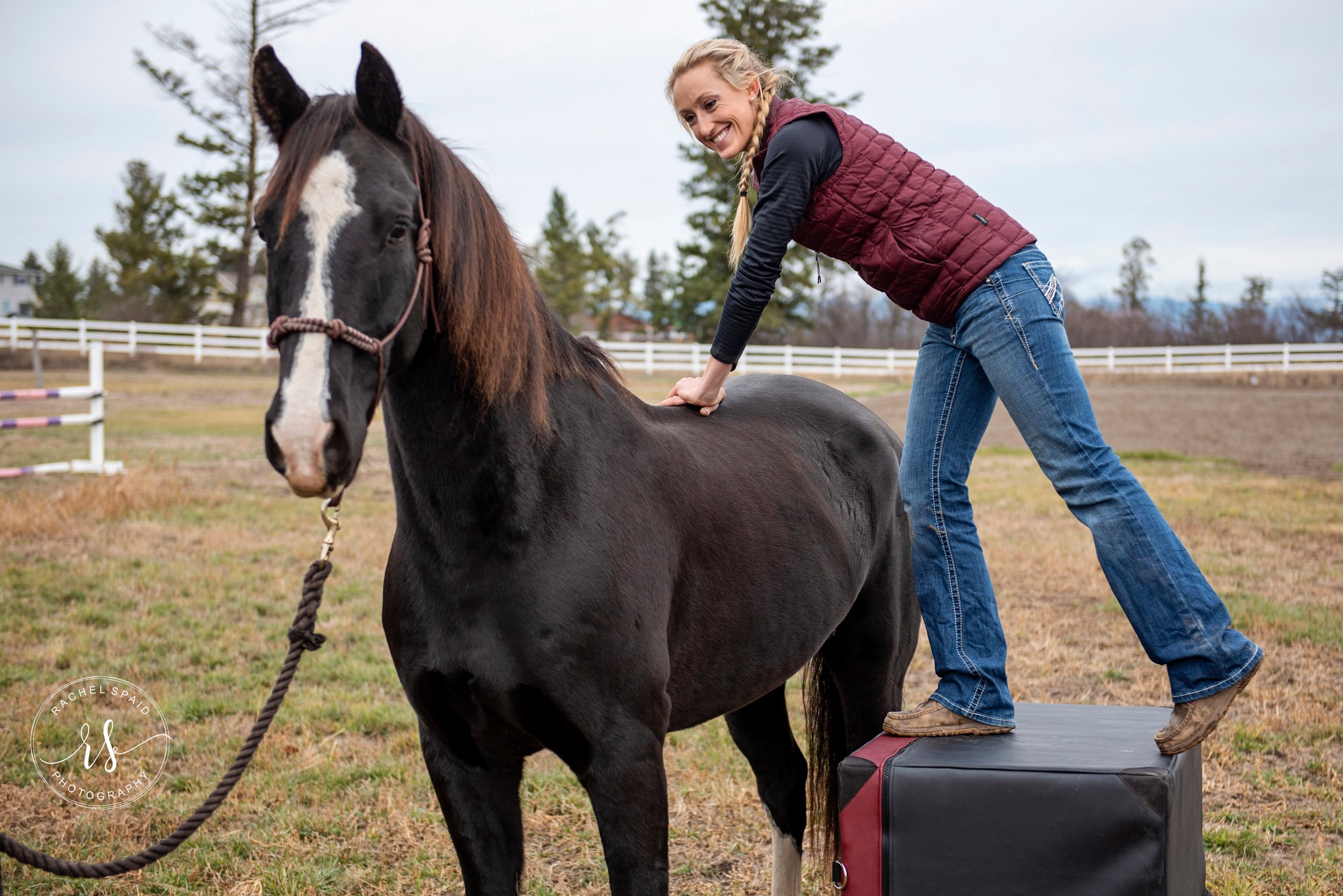 Standing Heart Ranch added a new... - Standing Heart Ranch