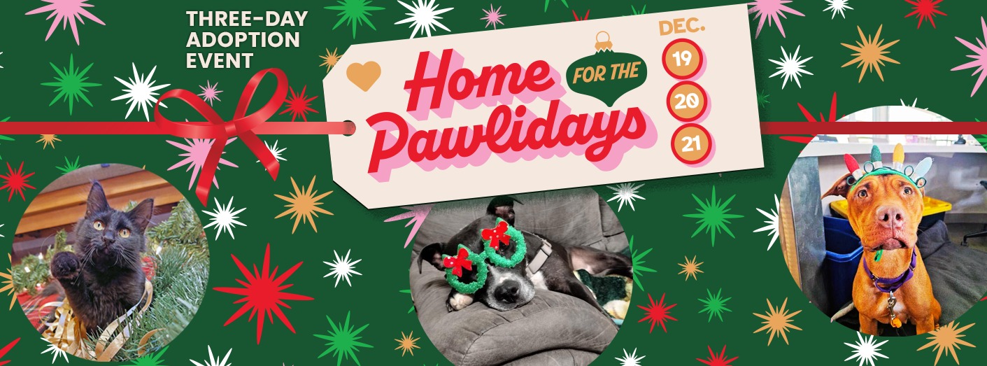 Home for the Pawlidays Adoption Event