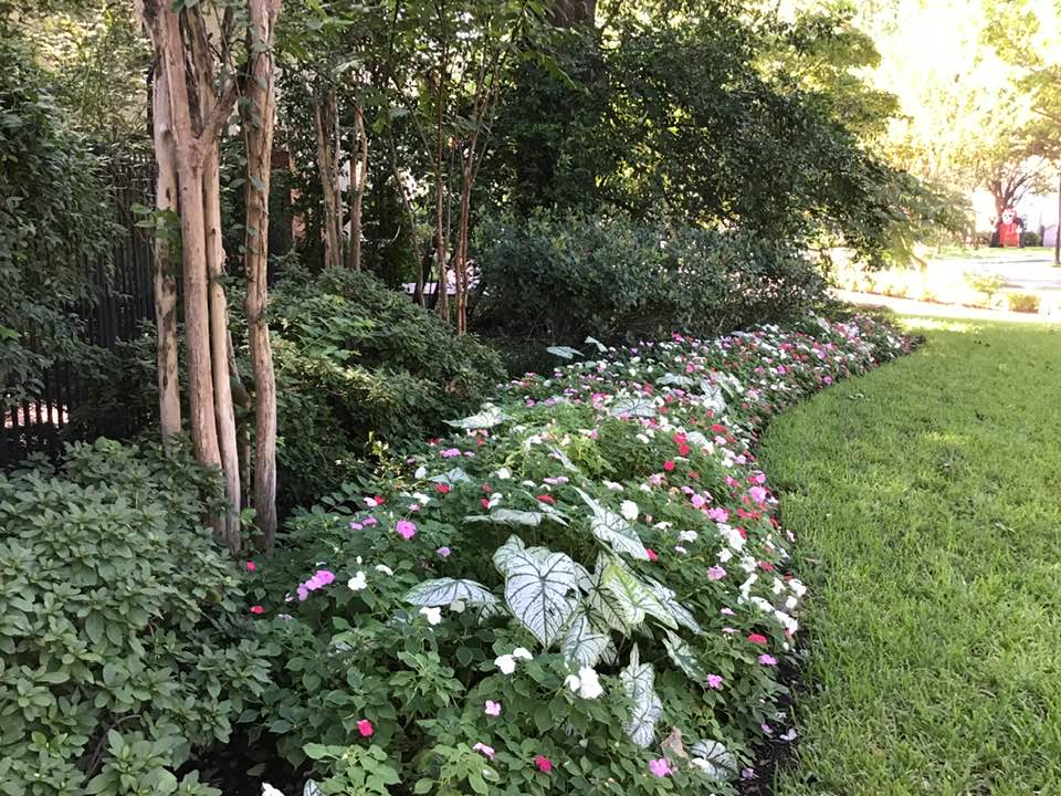 Cody Landscape | Fort Worth TX