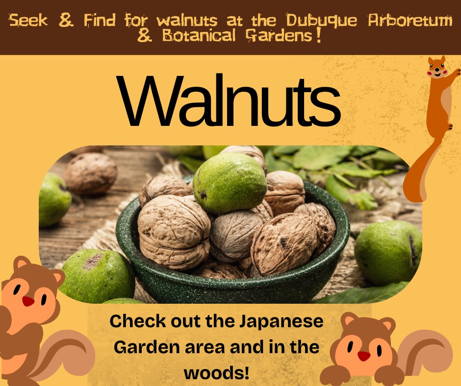 Dubuque Arboretum... - Dubuque Arboretum & Botanical Gardens