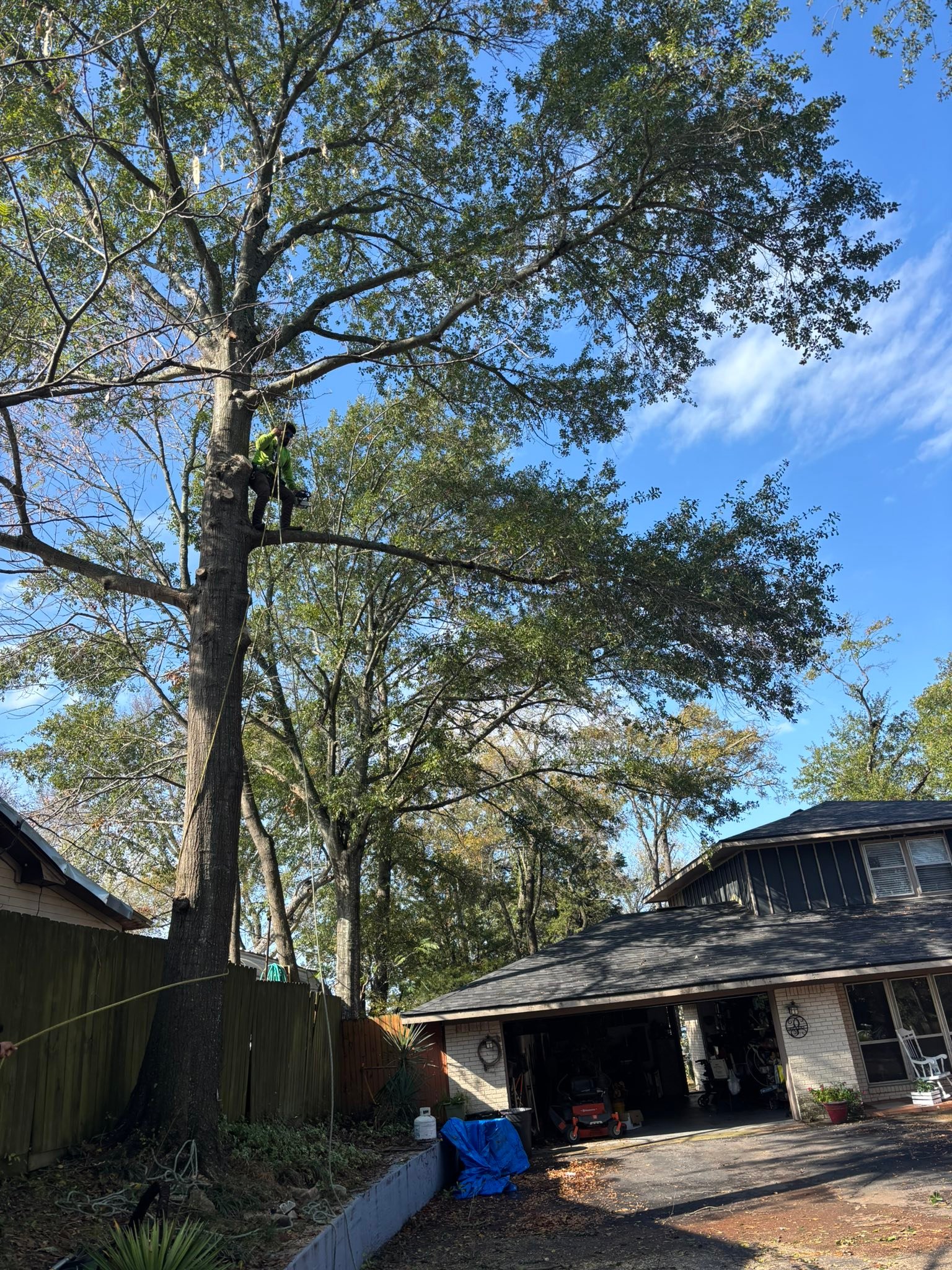 C & A Tree & Lawn Service LLC | Terrell TX