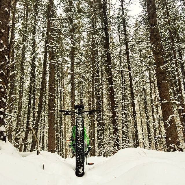 Big Fat Ride - We are pleased to announce Amy Rintala &... | Facebook
