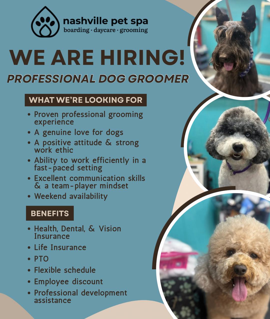 Pet Grooming Business Employee Benefits Comparison preview