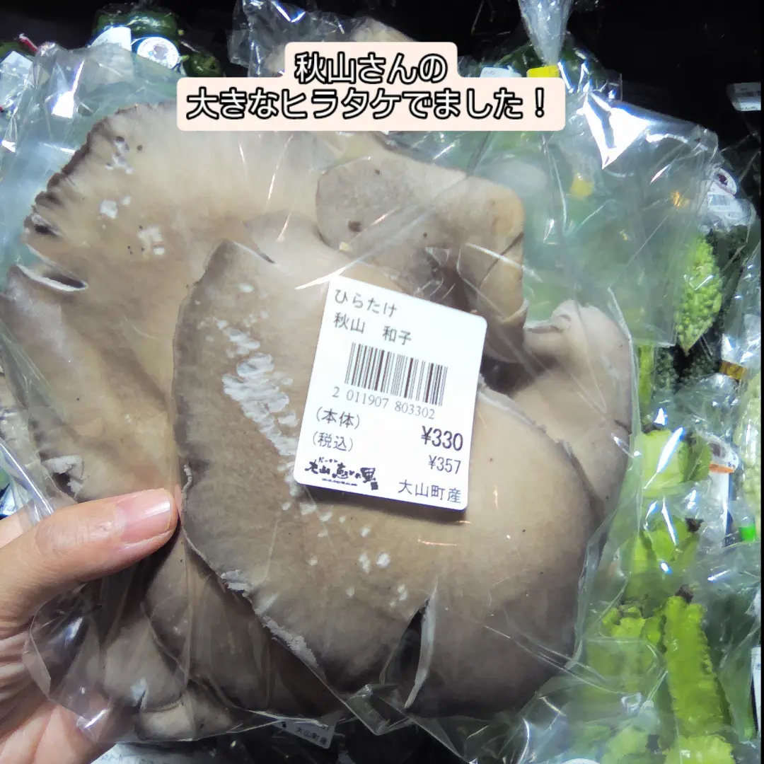 長〜いさやが特徴の三尺ささげ、登場しています🫛 見た目は長い