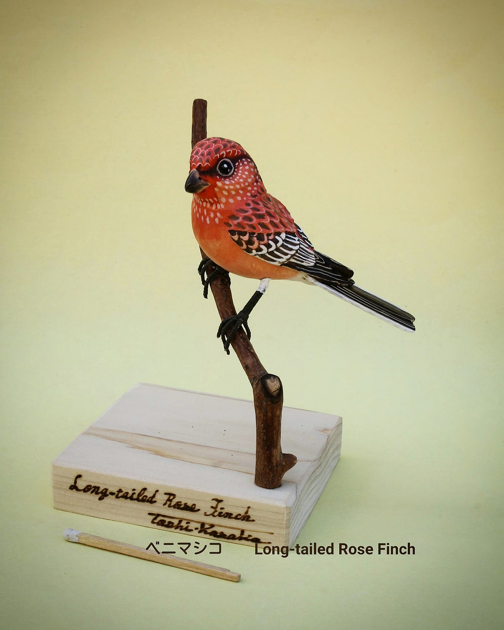 Toshi.Kosaka 夢工房&BIRD SONG