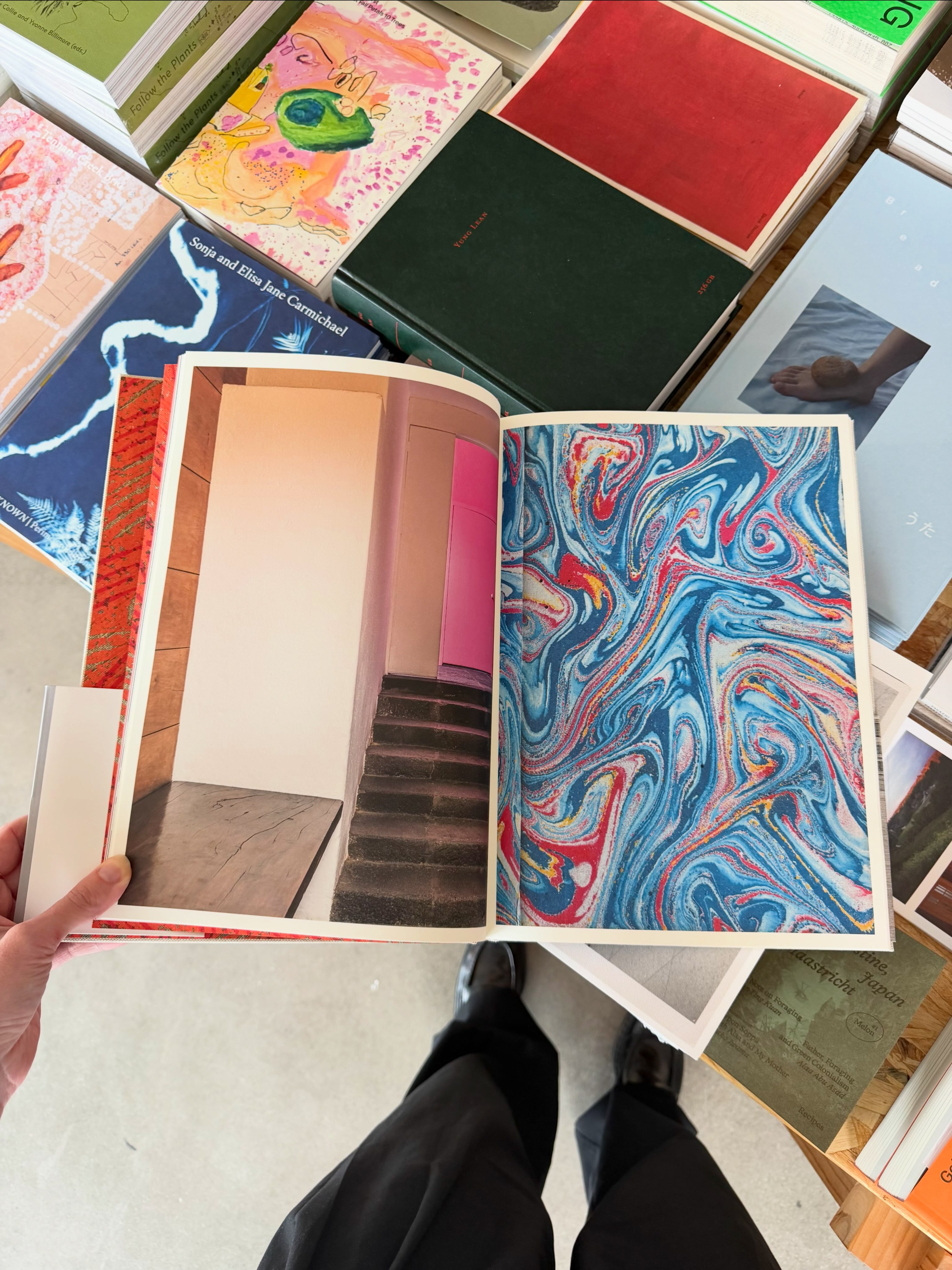 Luis Barragan His Library book
