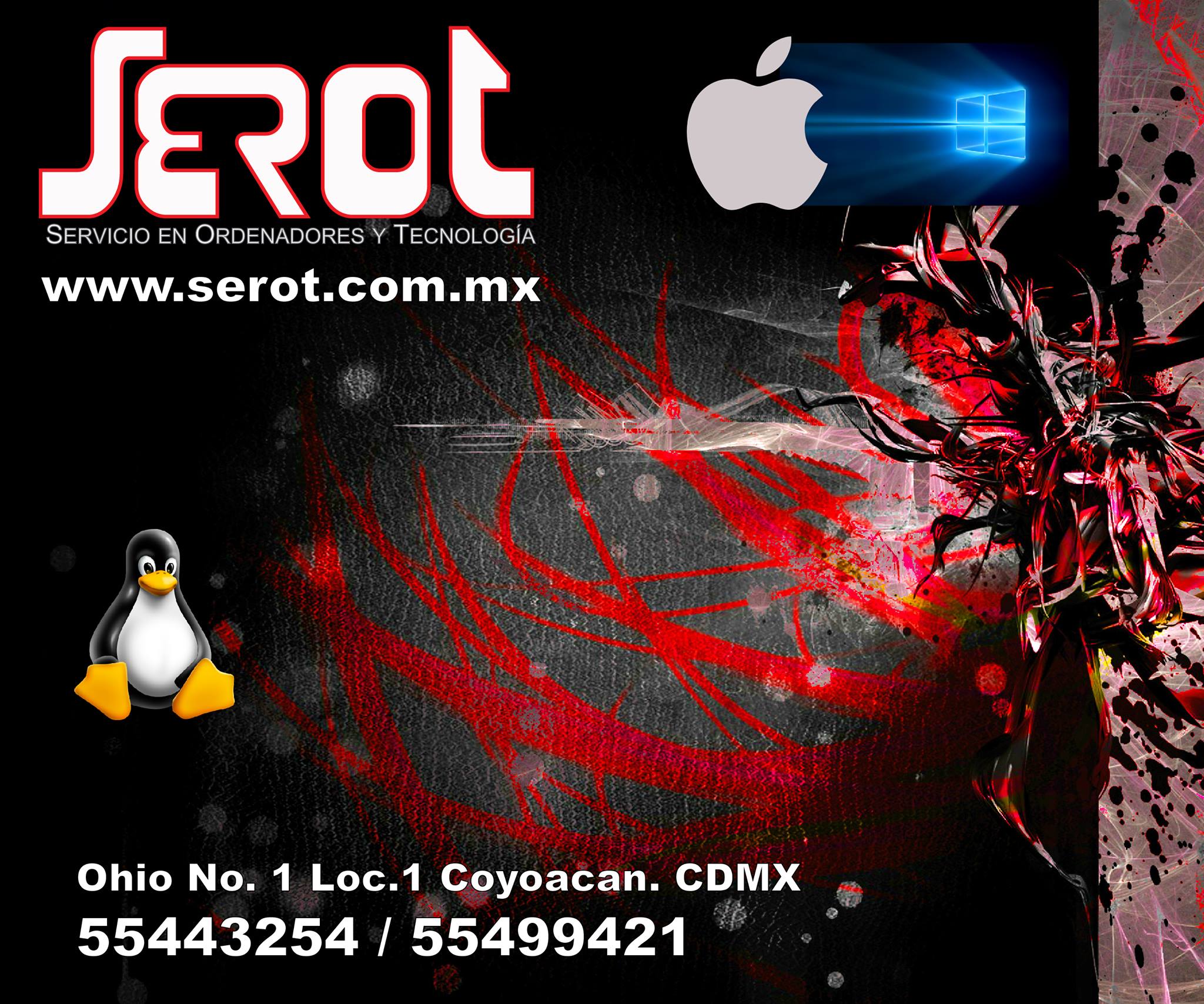 Serot, Servicio en Ordenadores y Tecnología | Mexico City
