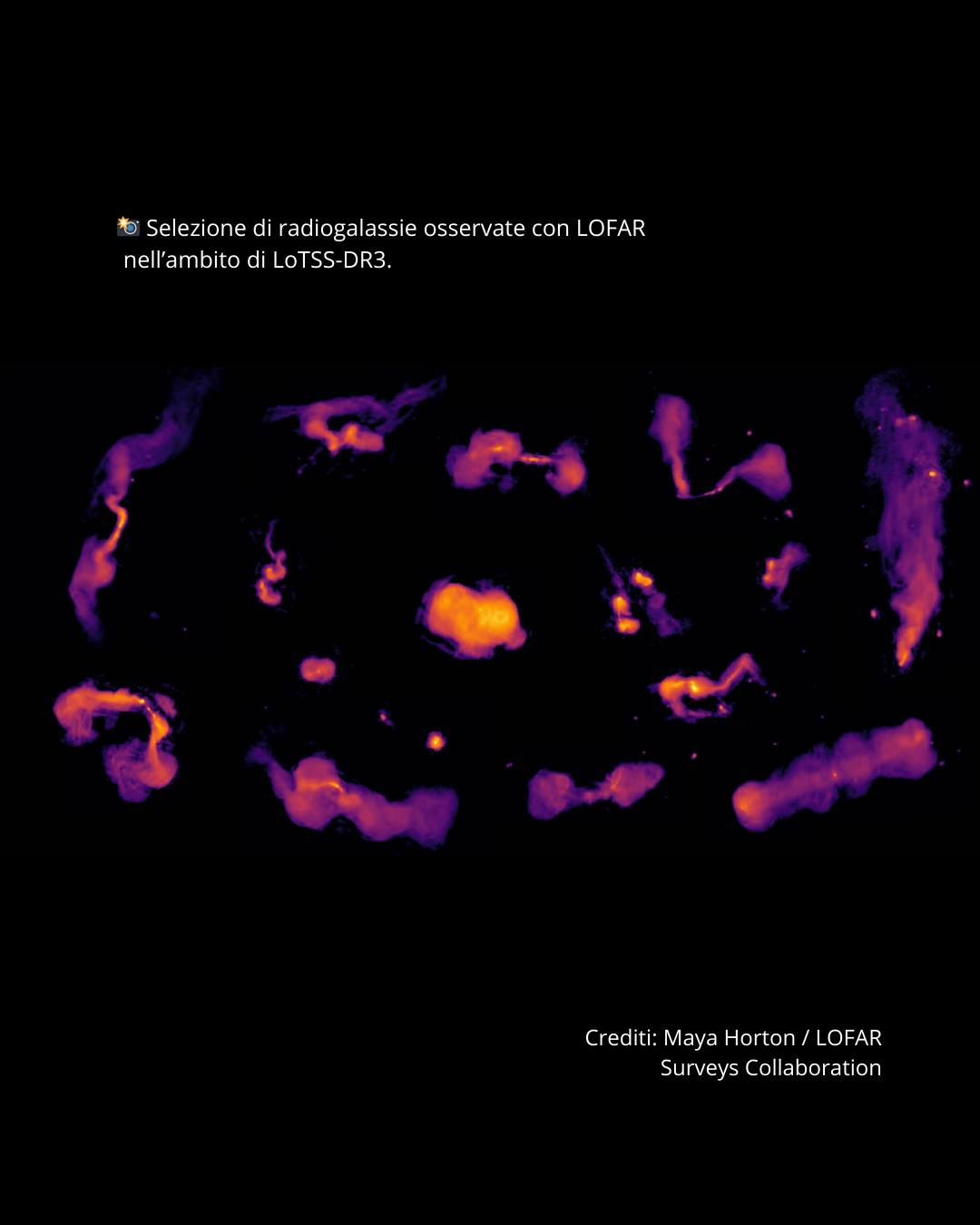 INAF - Istituto di Radioastronomia - Radiotelescopi di Medicina | Medicina