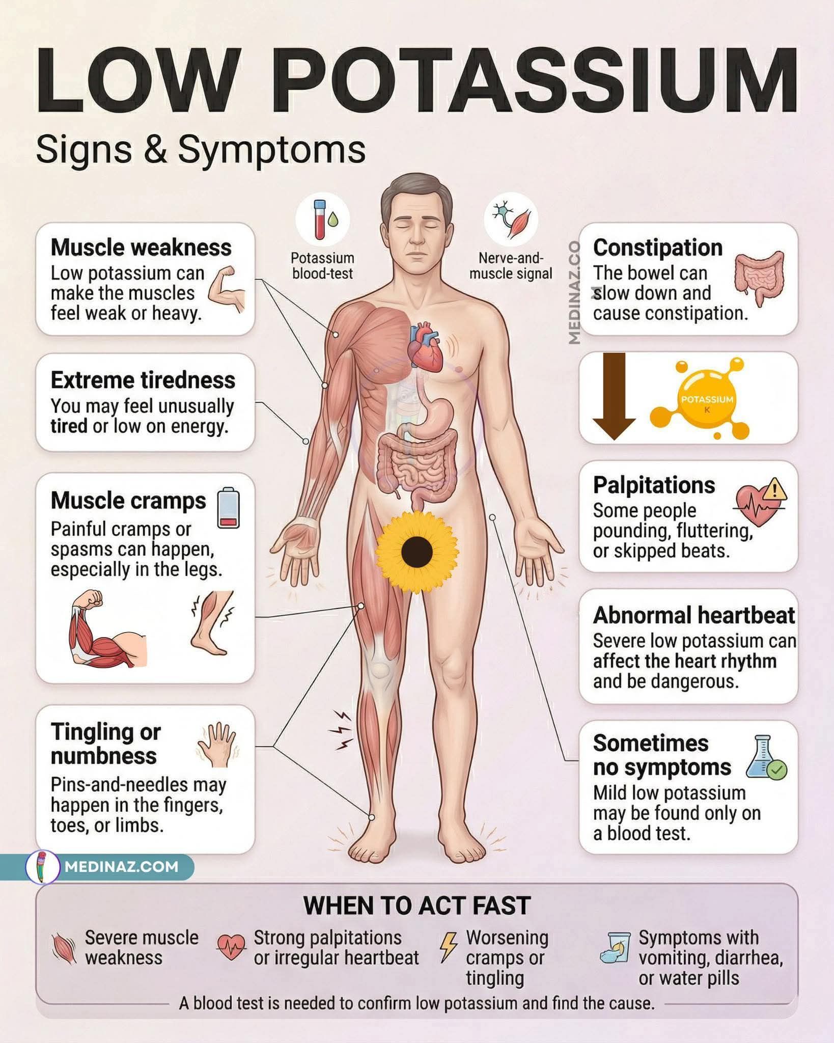 fda drug shortages tirzepatide zepbound shortage status 2025 Drugmakers battle pharmacies over compounded Ozempic and : Shots Semaglutide vs Ipamorelin: Research SIZE::Retatrutide 12mg Zone 6a