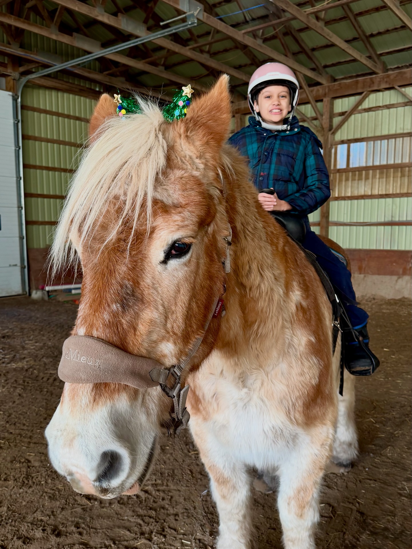 The Crystal Ladder Ranch | Newmarket ON