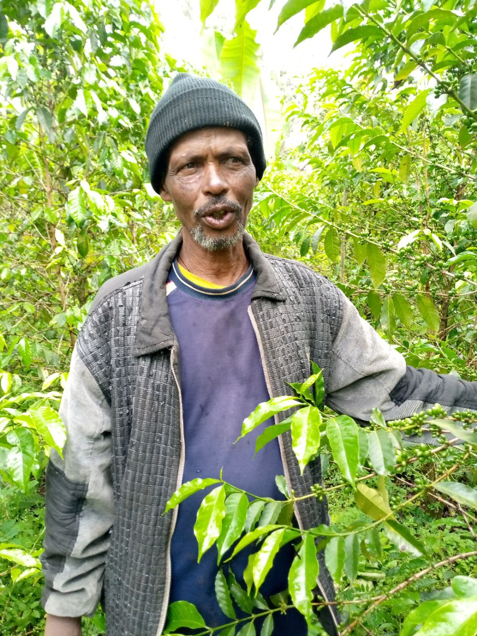 Ato Tadele Demise Tola from... - Cup of Excellence - Ethiopia