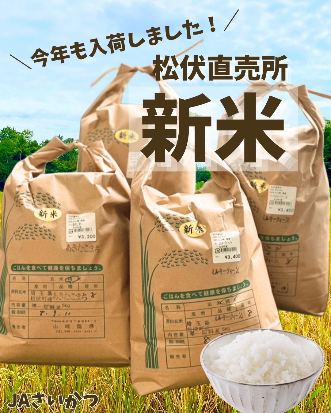 数量限定特別価格🌾 埼玉県オリジナル品種「彩のきずな」の玄米1kg精米