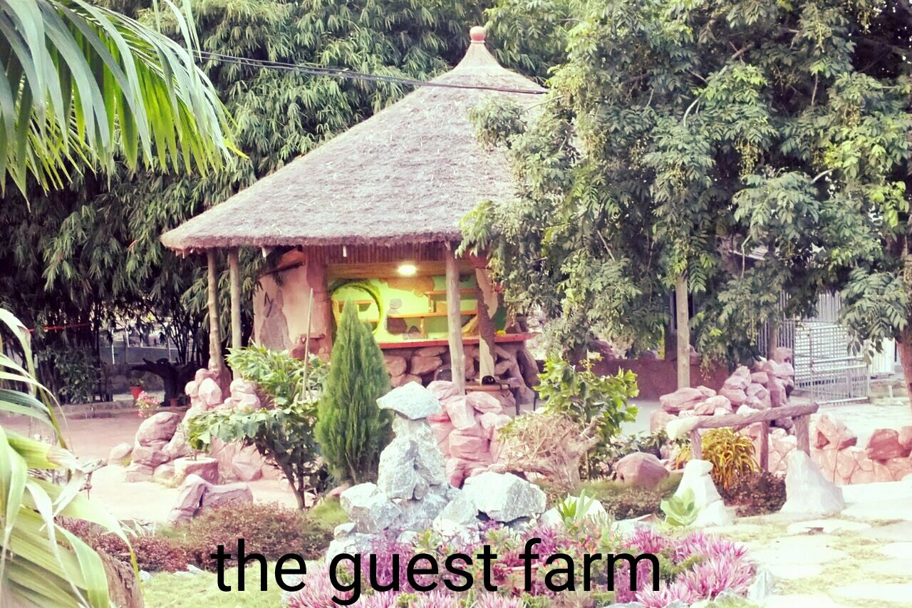 guest-farm-resort-nsawam