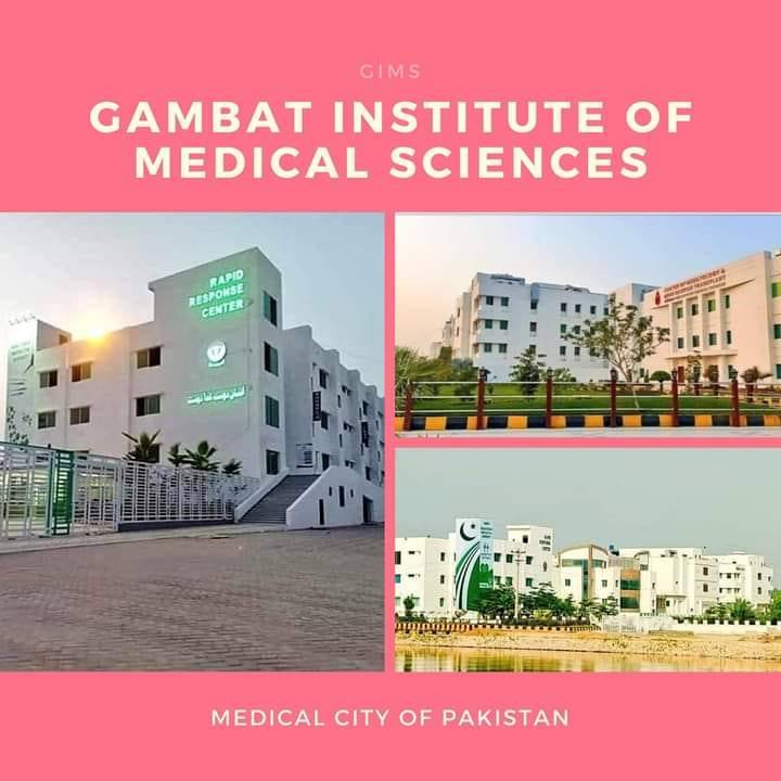 Gambat Institute of Medical Science
