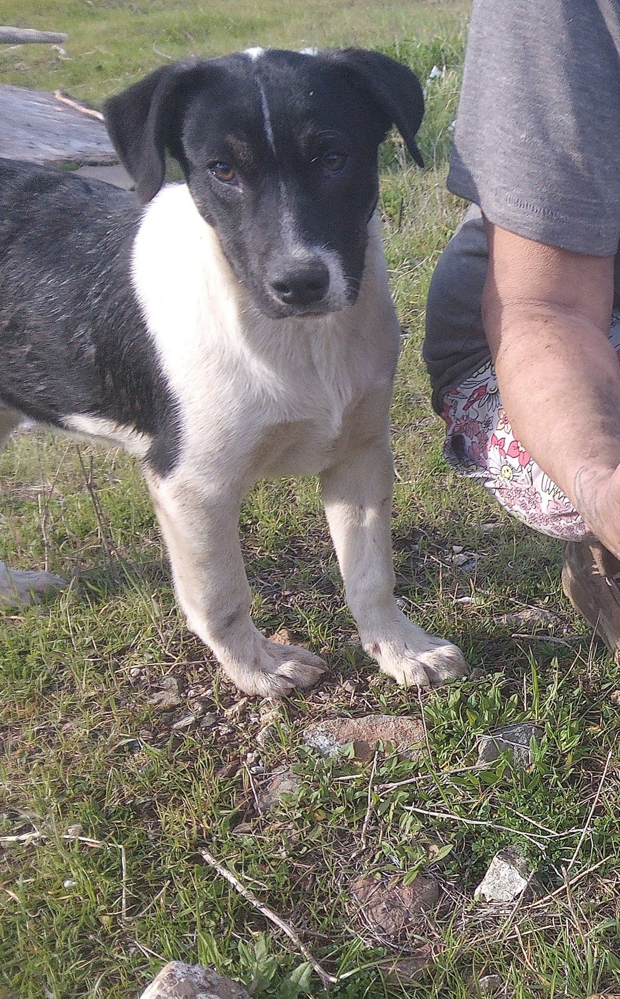 Reunited with my puppy in Oroville