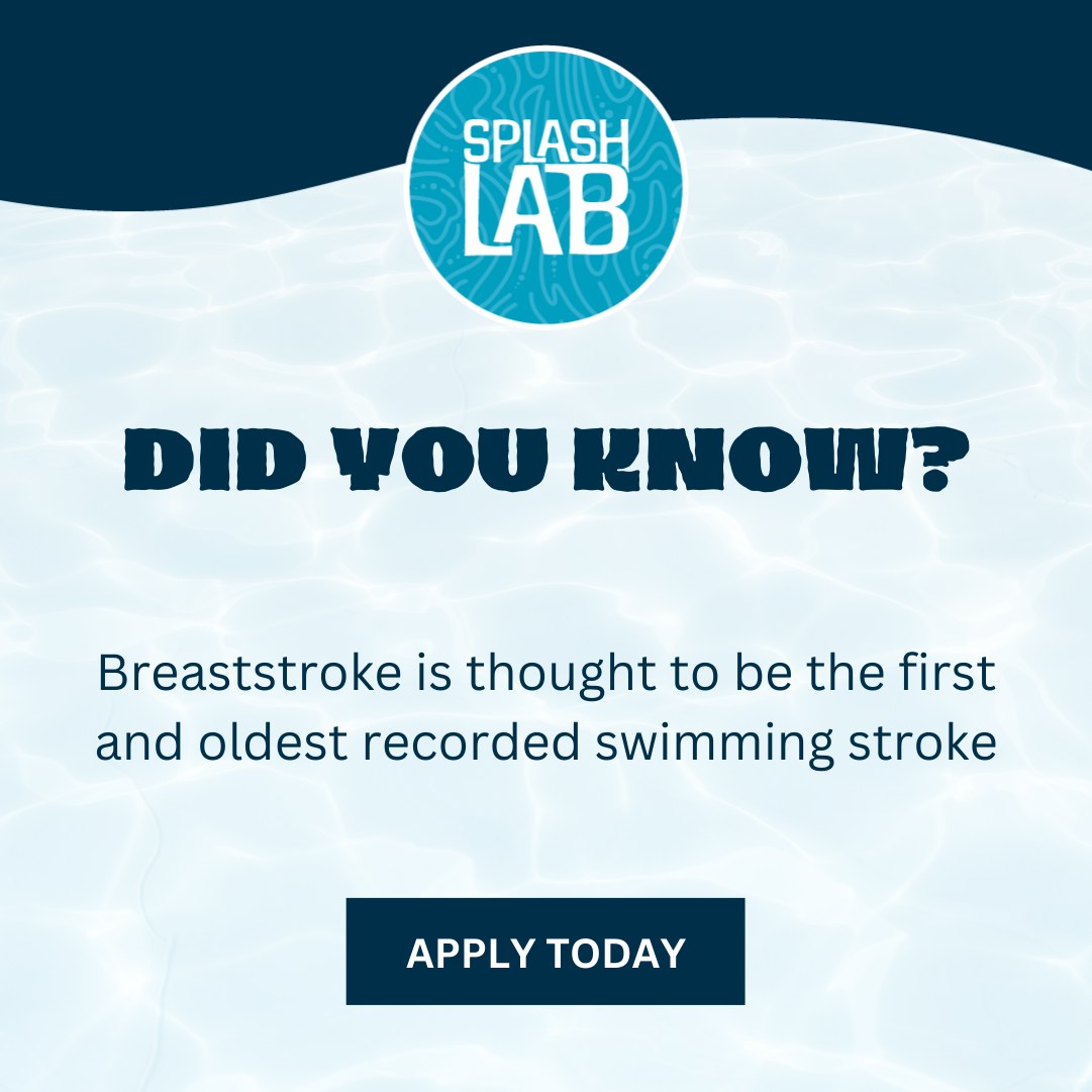 Did You Know that breaststroke is... - SplashLab Aquatics | Facebook