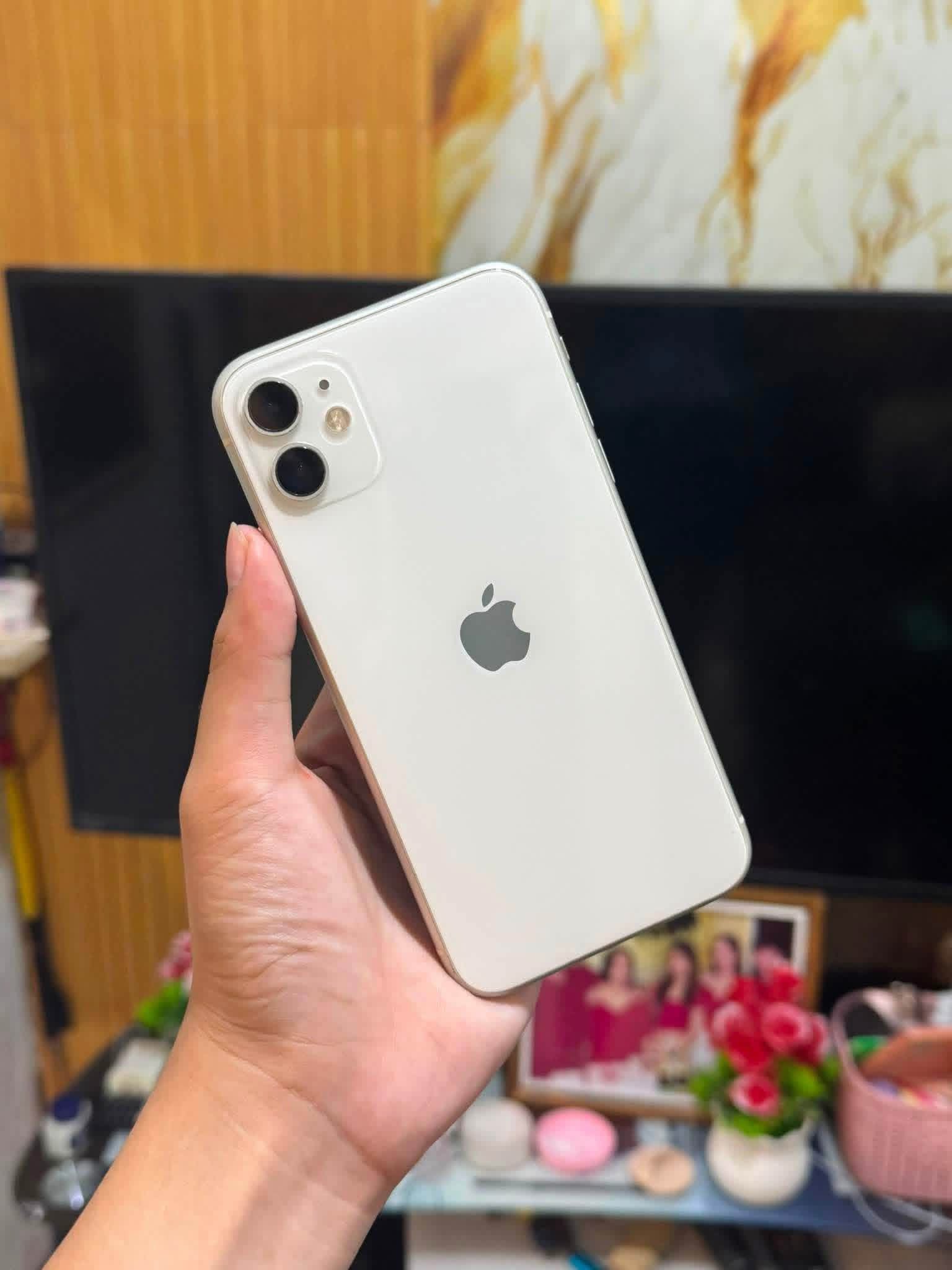 iphone 11 green 64gb ios updated 26.5 no sim restrictions 98