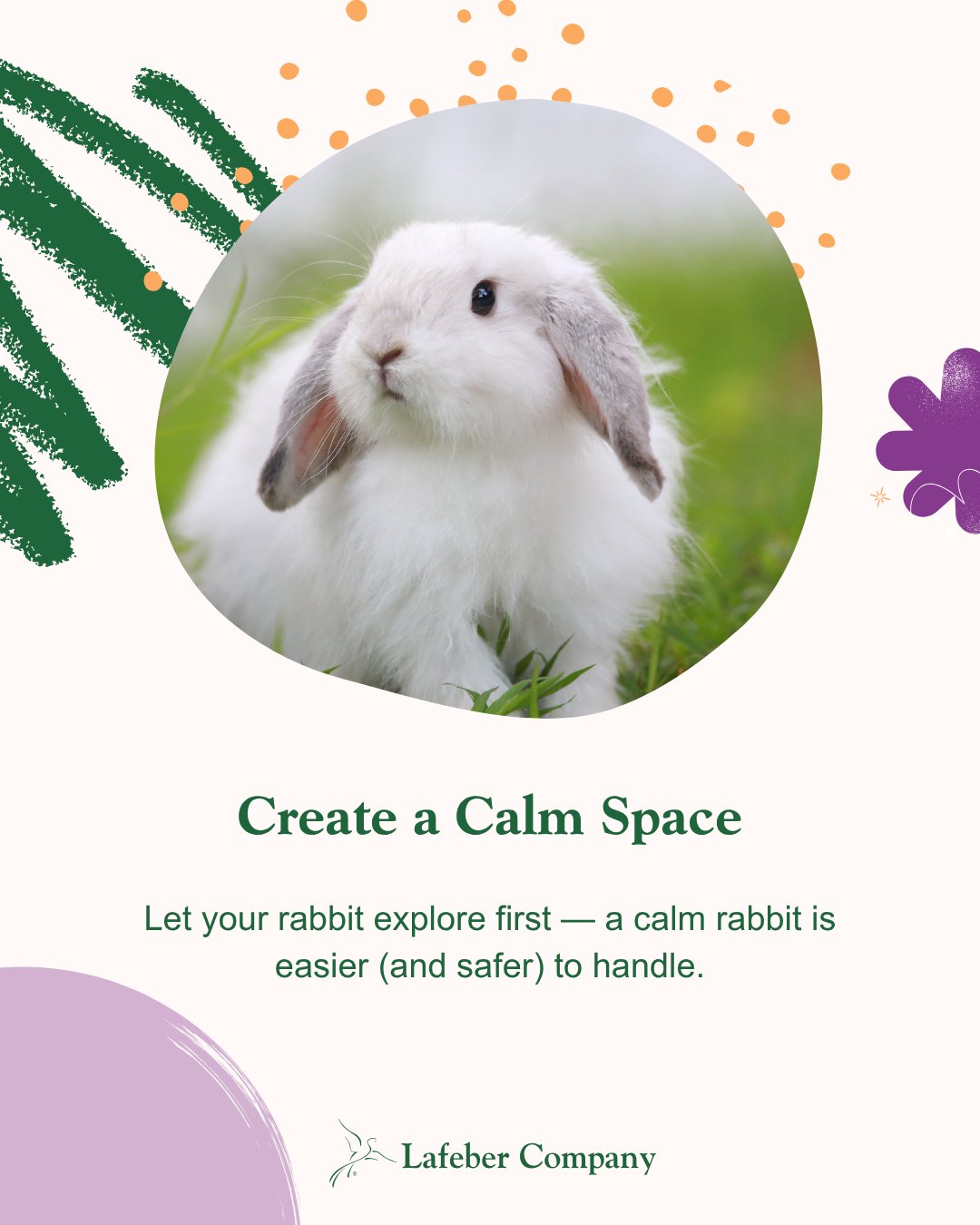 Lafeber Small Mammals - If your rat has 'moves like Jagger,' let us ...
