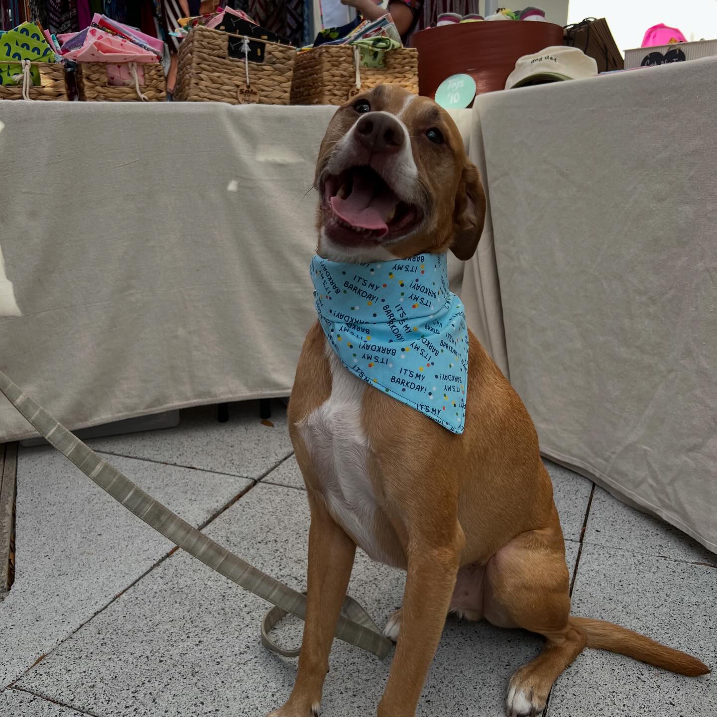 Pets and Love Boutique