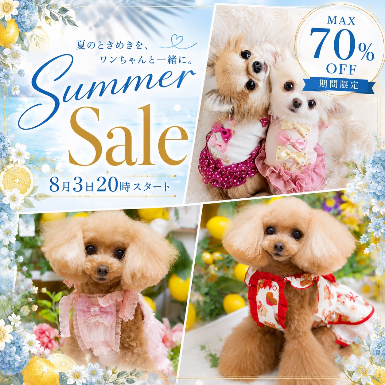 【BUL BU-BU】フェアリーワンピース XXS 犬服 Dog Boutique BUL BU-BU (@bulbubu) • Facebook