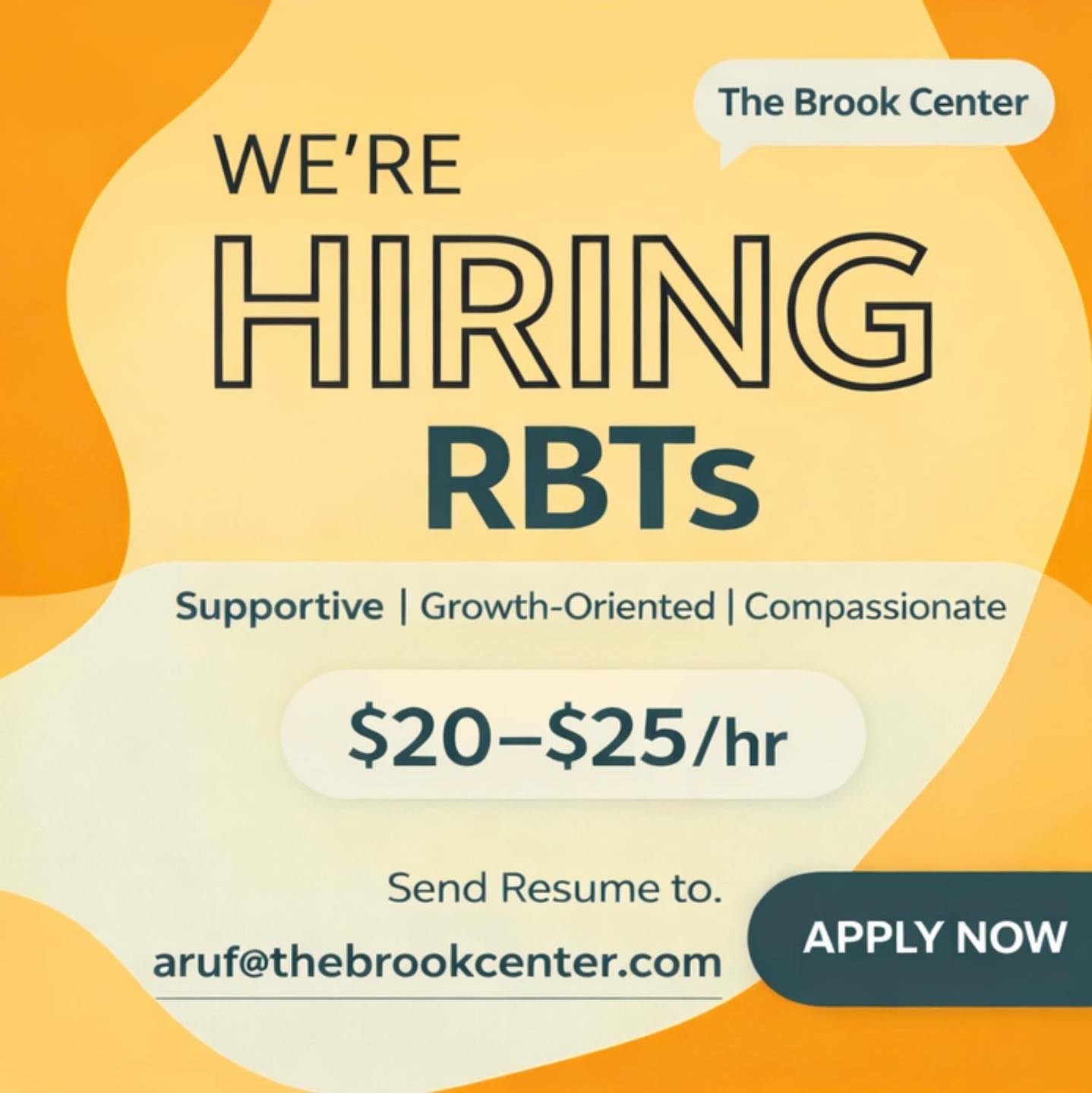 We’re Hiring an RBT at our Waverly... - The Brook Center | Facebook