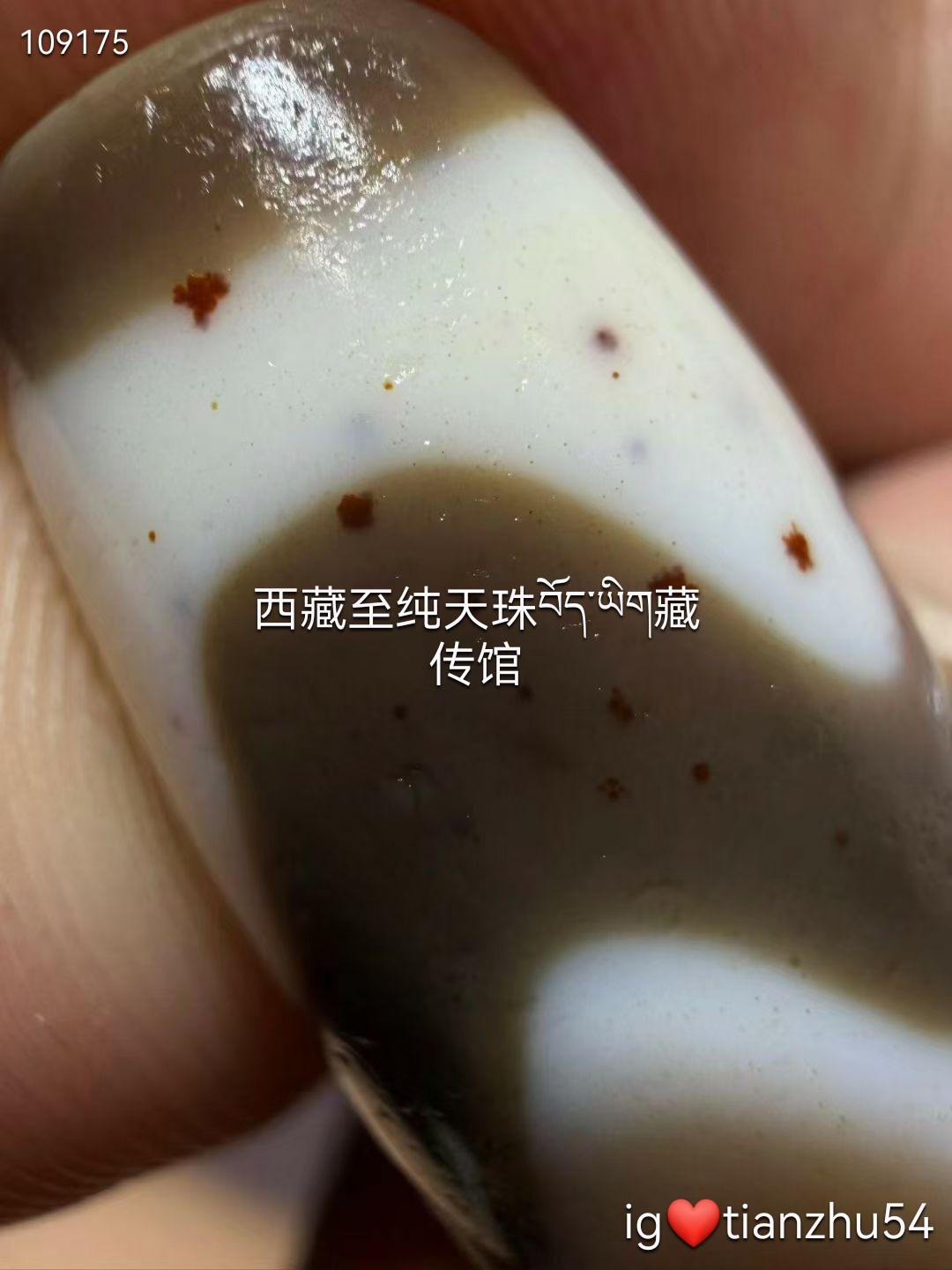 牙黄四线虎牙天珠。 尺寸50*12.2 虎牙一直在天珠图腾为寓为力量的象征