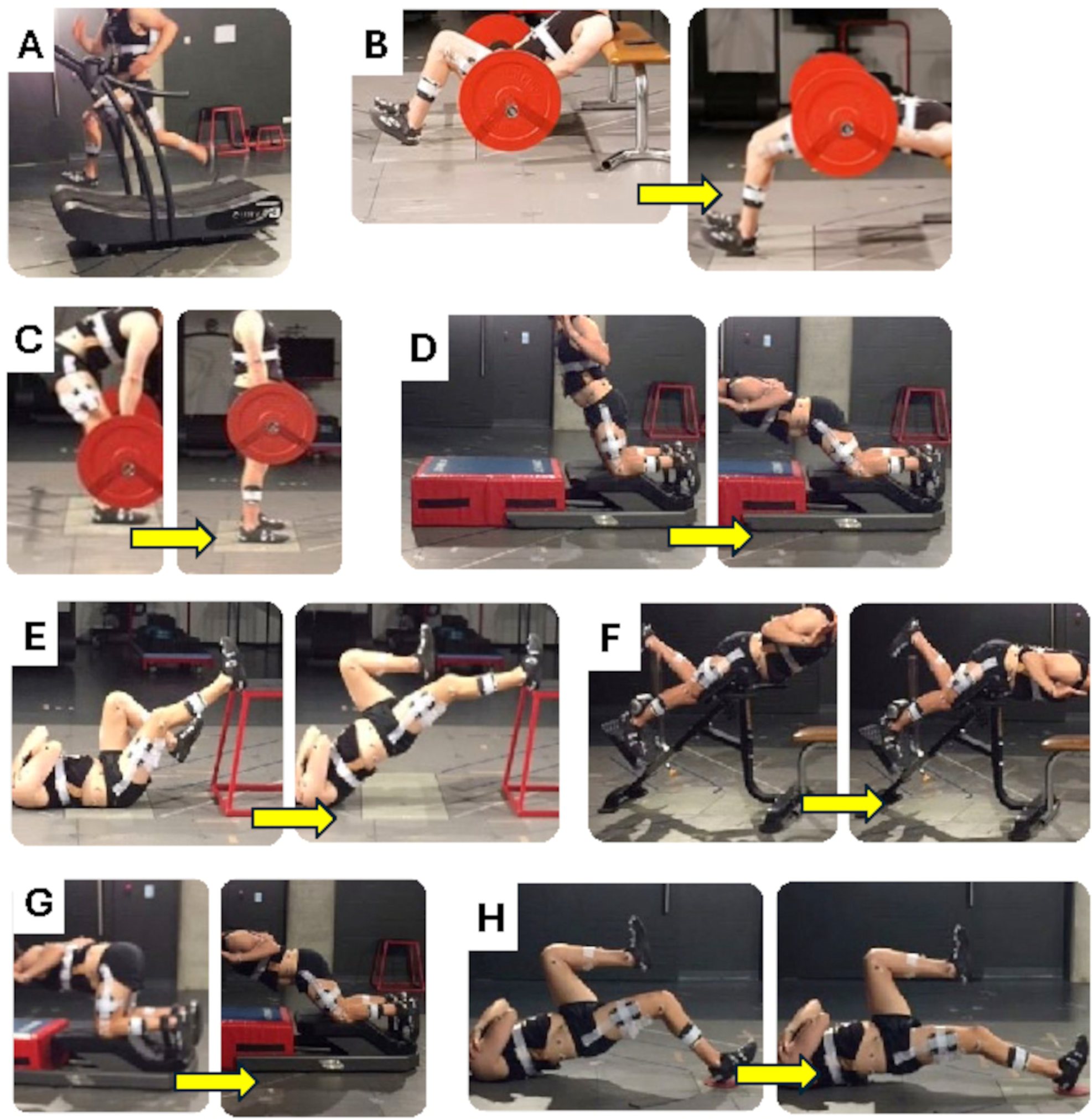 Just published 🔥 𝗛𝗮𝗺𝘀𝘁𝗿𝗶𝗻𝗴 𝗳𝗼𝗿𝗰𝗲... - Physio Meets Science | Facebook