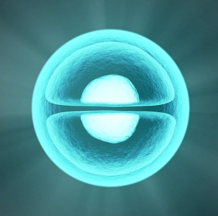 Sperm Cells Under Microscope #SpermCells #sperm # ...