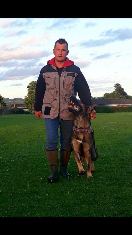 Dynamic K9’s - Home