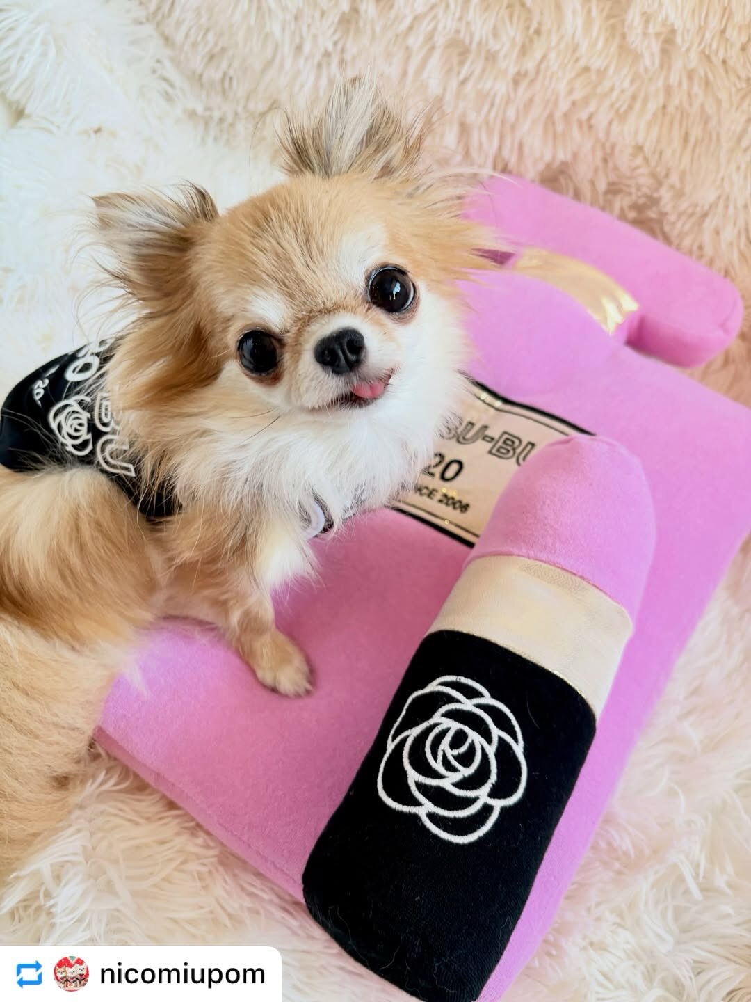 Dog Boutique BUL BU-BU (@bulbubu) • Facebook