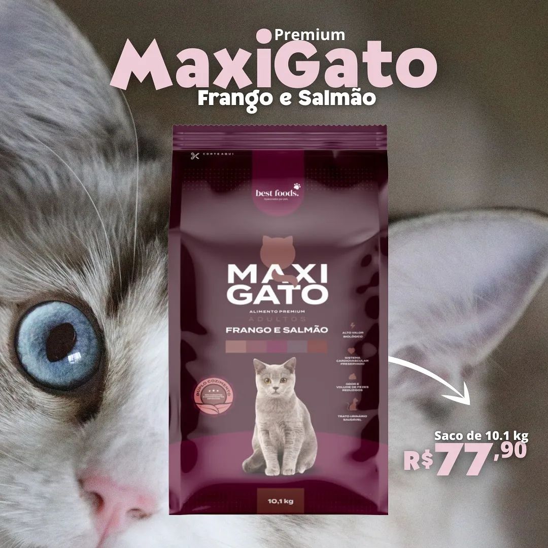 MareTech - 🔸️ Maxigato é um alimento completo e...