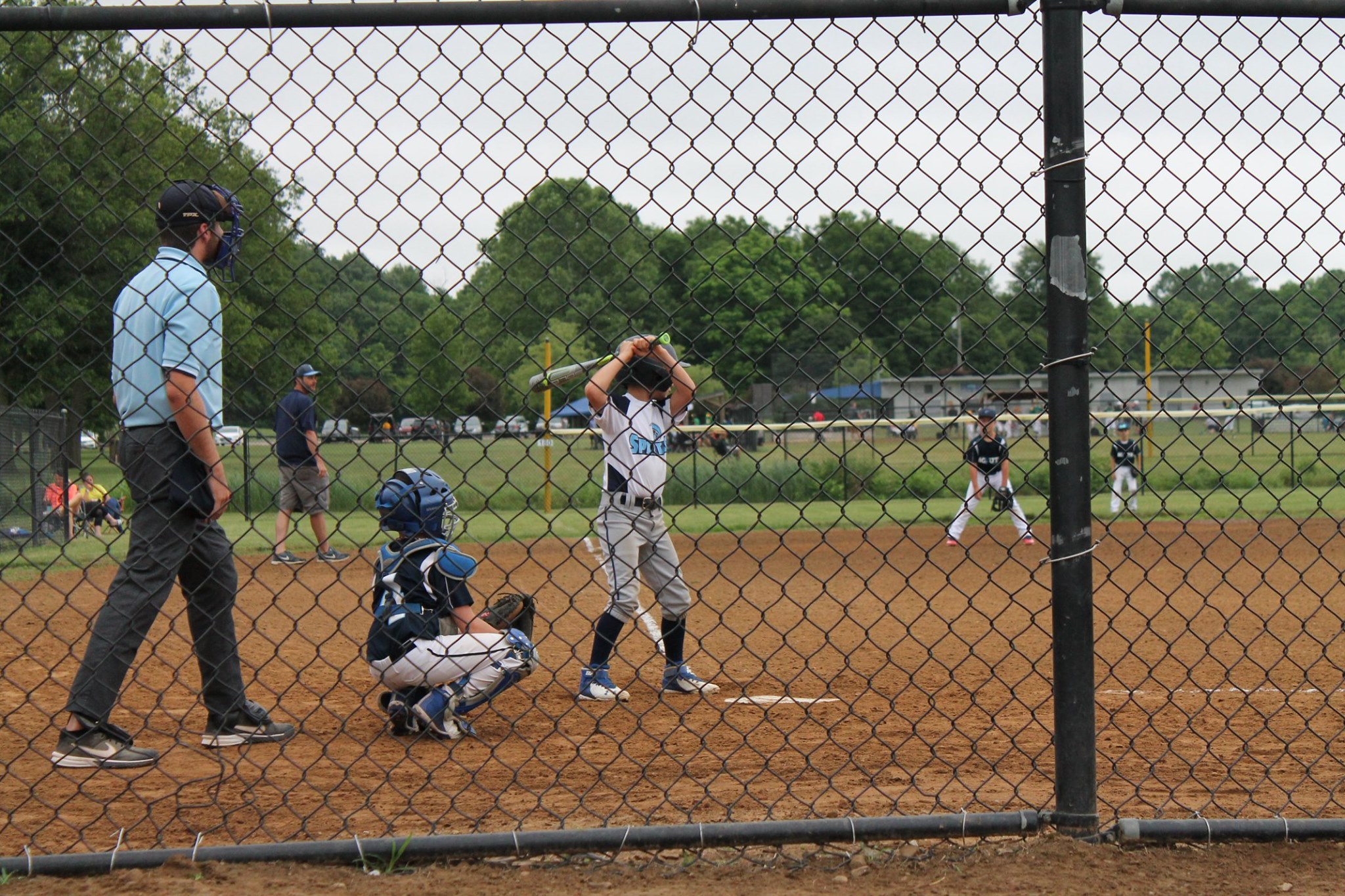 Springboro Spartans Baseball