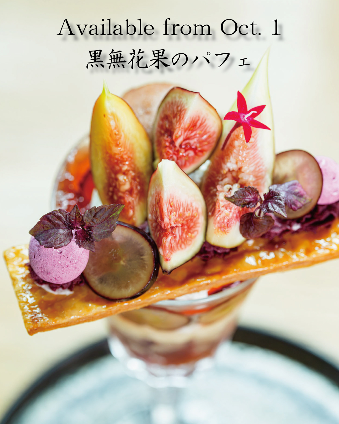 無花果 MIZUNOBU AUTUMN FAIR】 10/2～11/5 秋の実りがいちばん輝く季節
