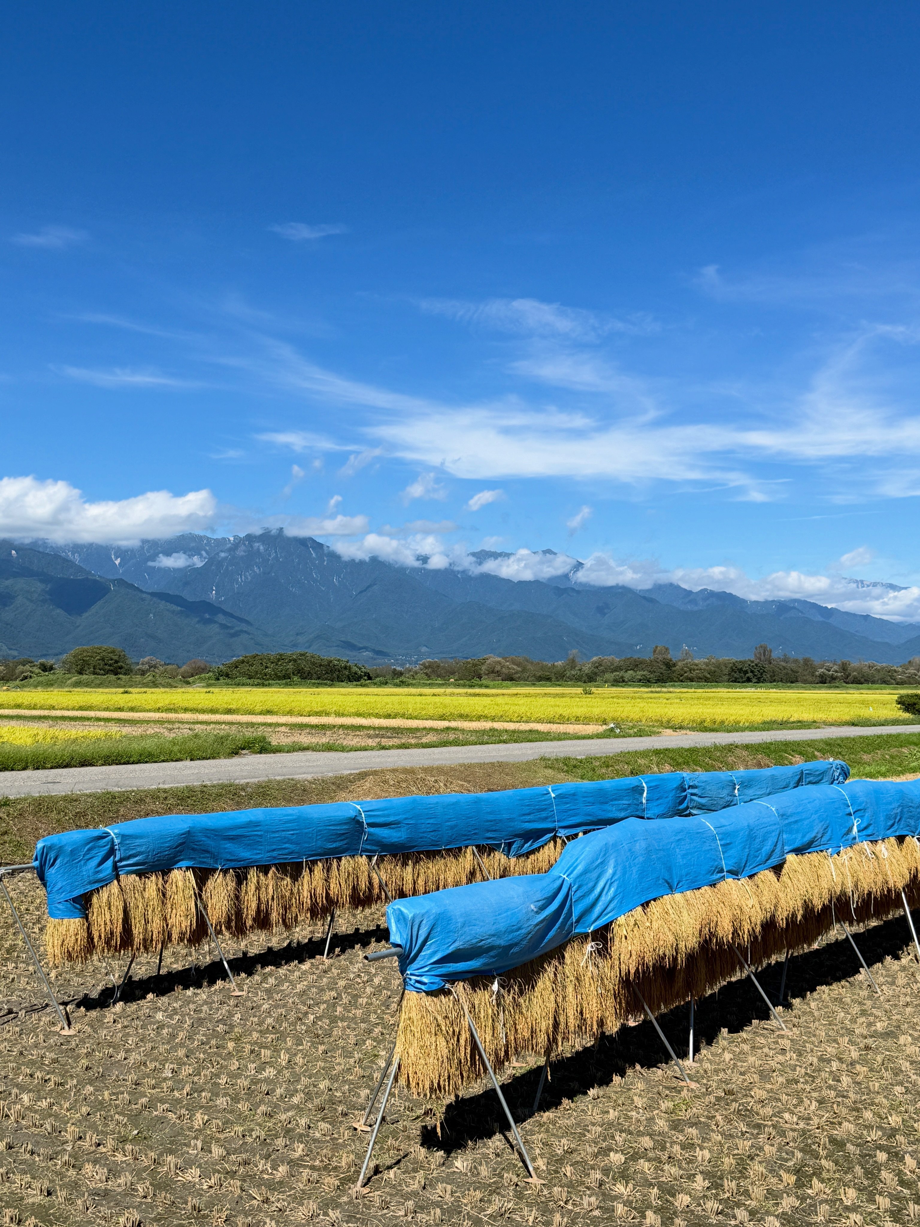 青空に覆われた安曇野 常念岳をはじめ、北アルプスの山並みがきれいに