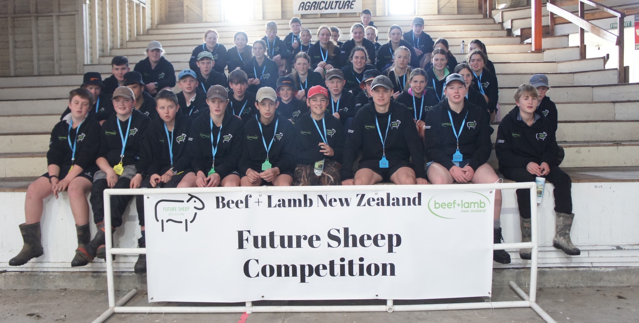 Future Sheep New Zealand